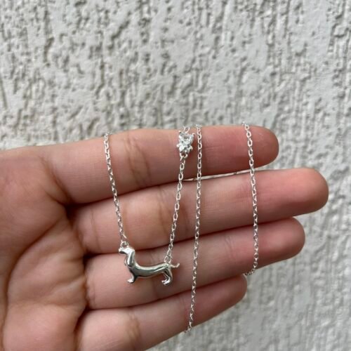 Collar Salchicha Bri