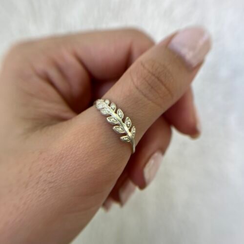 Anillo Rami