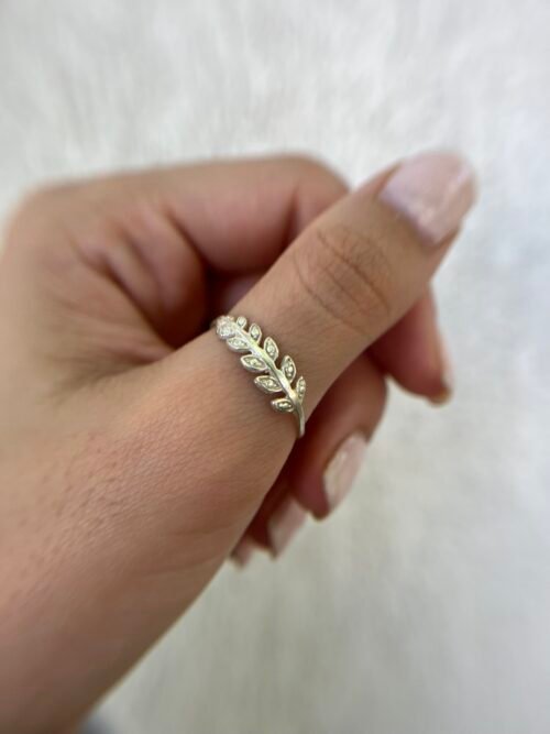 Anillo Rami