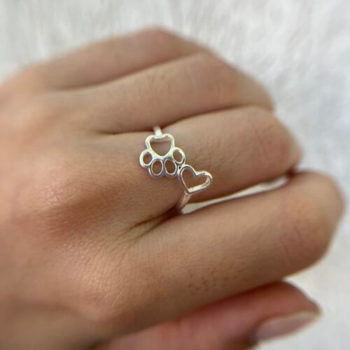 IMG_0876 Anillo Inu