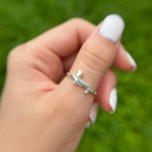 Anillo Salchi