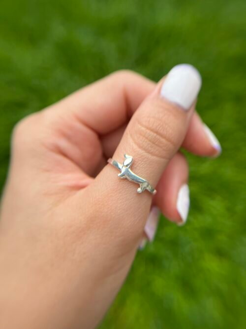 Anillo Salchi